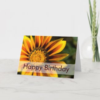 African Daisy • Birthday Card card