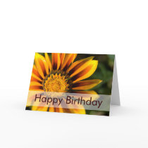 African Daisy • Birthday Card