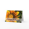 African Daisy • Birthday Card by SabineStGreetings African Daisy • Birthday Card