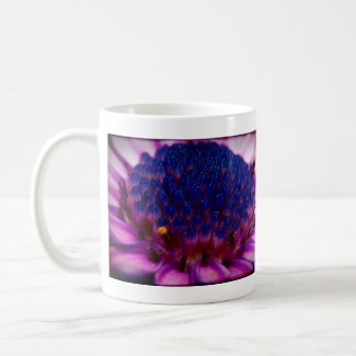 African Daisy Blossom Mug mug