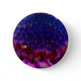 African Daisy Blossom Round Button button