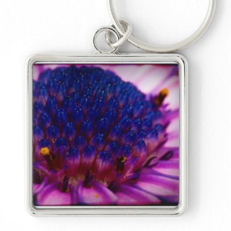 African Daisy Blossom Square Keychain keychain