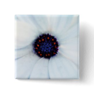African daisy button