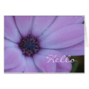 African Daisy cards by ggbythebay African Daisy cards