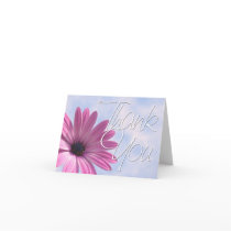 African Daisy