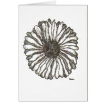 African Daisy Cards