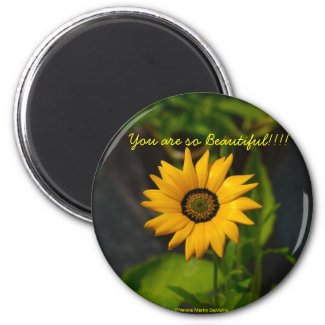 African Daisy-Circle Magnet magnet