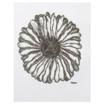 African Daisy Full Color Flyer