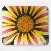 African Daisy Gazania Mousepad by ggbythebay African Daisy Gazania Mousepad