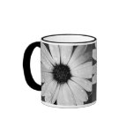African Daisy in Black and White