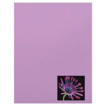 African Daisy Letterhead