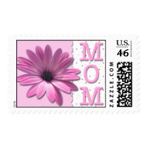 African Daisy • Mom