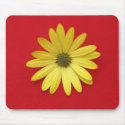African Daisy mousepads