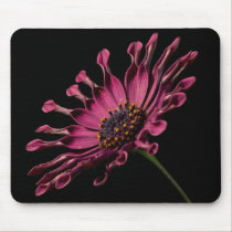 African Daisy mousepads