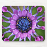 African Daisy Mouse Mats