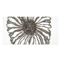 African Daisy Photo Card Template