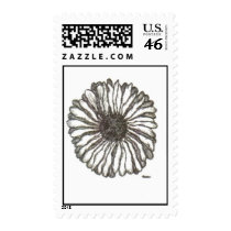 African Daisy postage