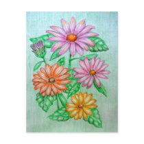 African daisy post cards