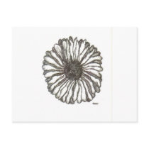 African Daisy Post Card
