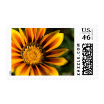 African Daisy Stamp