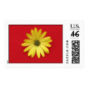 African Daisy Stamp