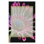 African Daisy stationery