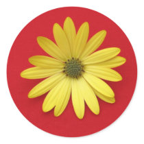 African Daisy stickers