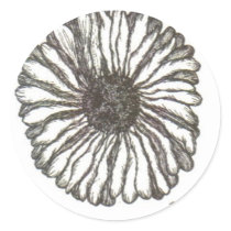 African Daisy Sticker