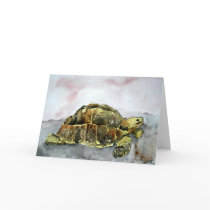 african desert tortoise land turtle greeting card by dereklovessheila african desert tortoise land turtle greeting card