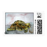african desert tortoise land turtle postage stamps