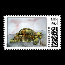 african desert tortoise land turtle postage stamps