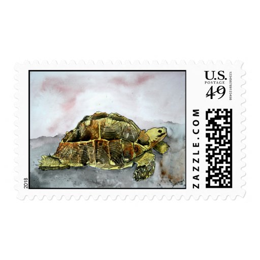 african desert tortoise land turtle postage stamps Zazzle