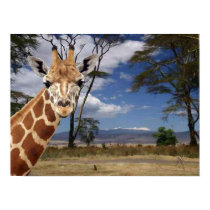 African Dreams 1 Poster posters by PauloRodrigues African Dreams 1 Poster posters
