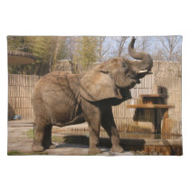 African_Elephant_001 placemats