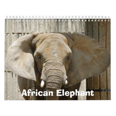 African_Elephant_005, African Elephant Wall Calendars by NatureByDesign