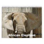 African_Elephant_005, African Elephant Wall Calendars