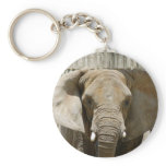 African_Elephant_005 Key Chain