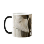 African_Elephant_005 Mugs