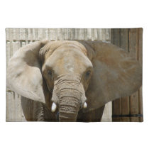 African_Elephant_005 placemats