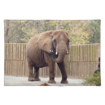 African_Elephant_006 placemats