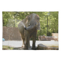 African_Elephant_009 placemats