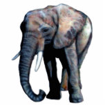African Elephant 3D Photo Sculpture Gift