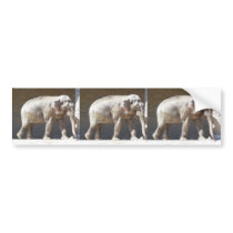 African Elephant bumper stickers by thekingchivas African Elephant bumper stickers