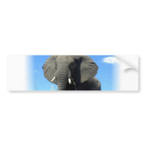 African Elephant Bumper Sticker