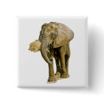 African Elephant Pinback Button