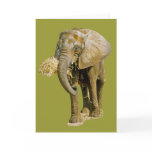 African Elephant Greeting Card