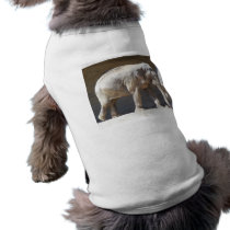 African Elephant pet clothing by thekingchivas African Elephant pet clothing