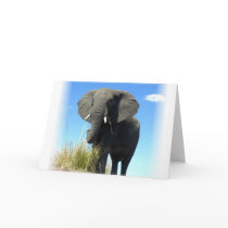 African Elephant Greeting Card