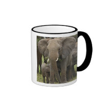 African Elephant herd, Loxodonta africana, Mug