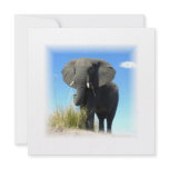 African Elephant Invitation